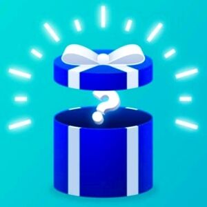 4 piece Mystery Box!